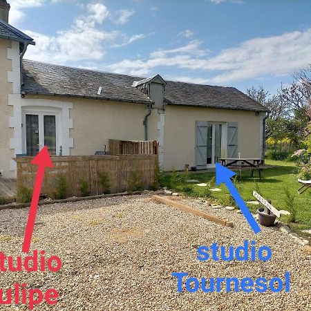 Studio " Tournesol " Au Coeur Du Berry Les Bordes Kültér fotó